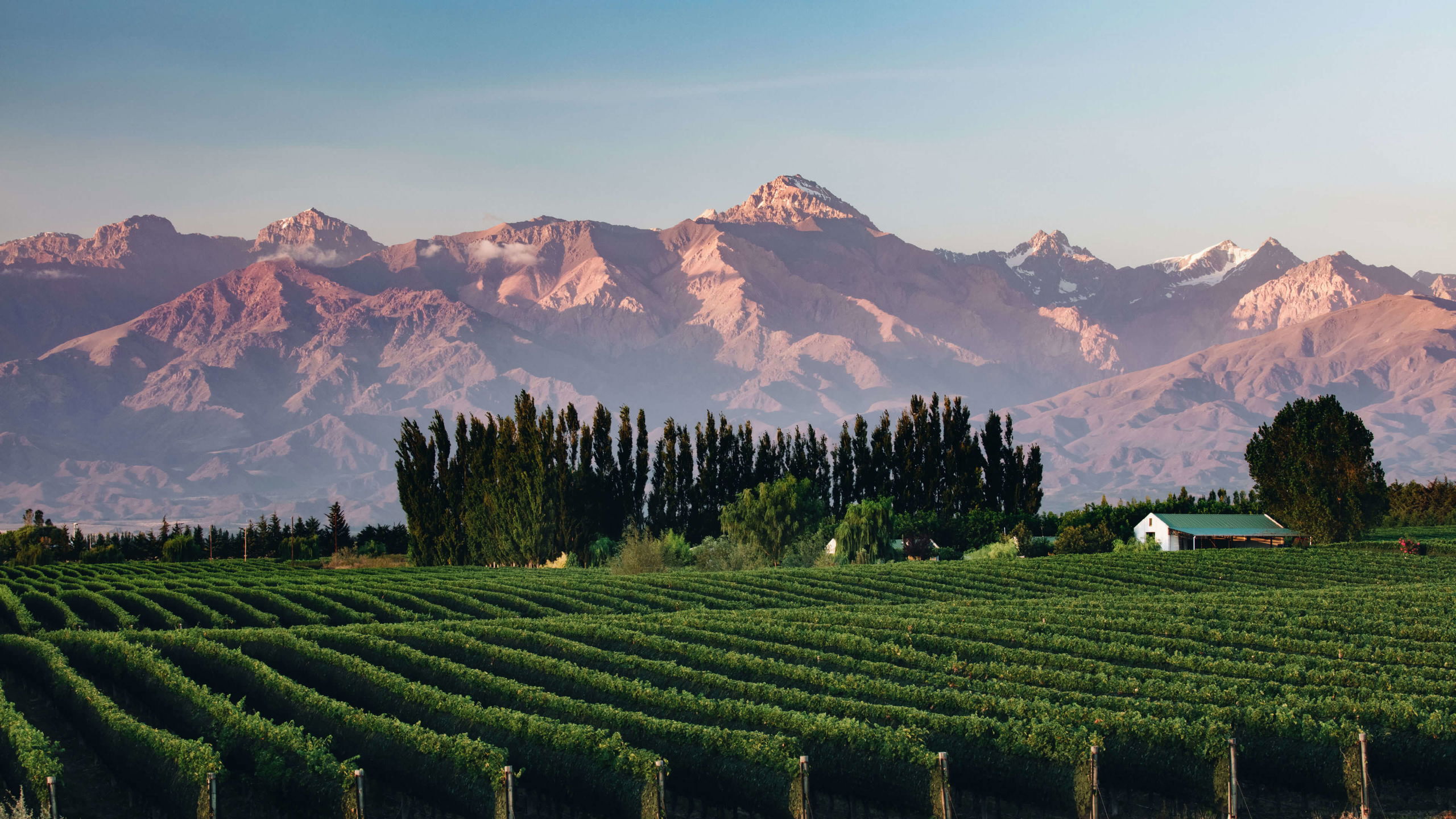 wine tourism argentina