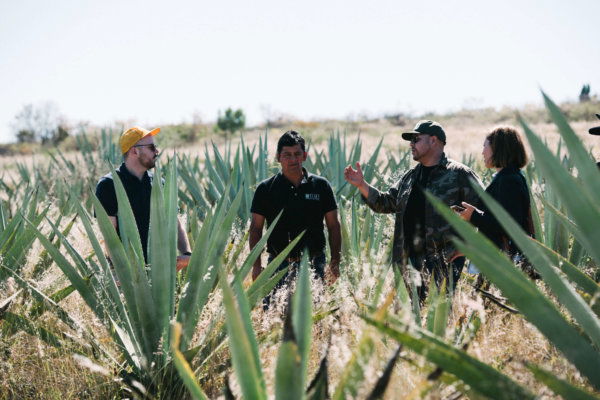 A small group of travelers and a local guide exploring an agave field in rural Oaxaca, Mexico, during a cultural and culinary journey with Modern Adventure.