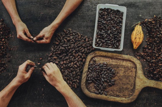 Colombia with Dandelion Chocolate & Traci Des Jardins