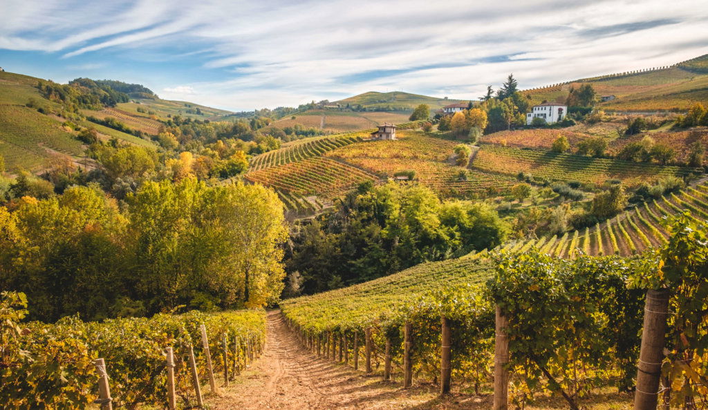 Piedmont Tour with Aldo Zaninotto