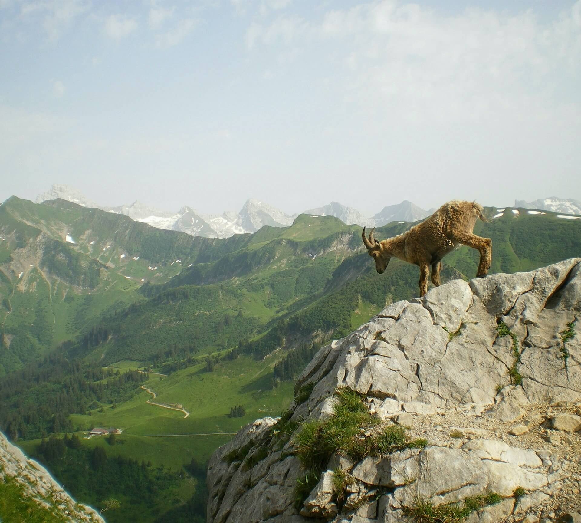 French Alps Photography Expedition Modern Adventure