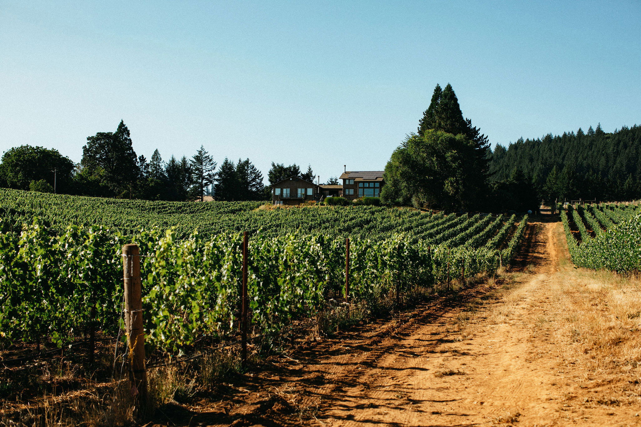 Oregon Travel: Wine Country - 1859 Oregon's Magazine