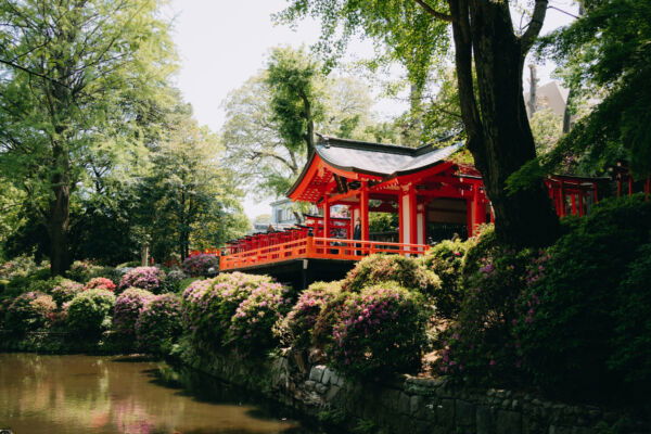 Tokyo 2023_Vibrant red temple pavilion surrounded by lush greenery and blooming flowers beside a peaceful pond, showcasing the serene beauty of traditional Japanese gardens in Tokyo.