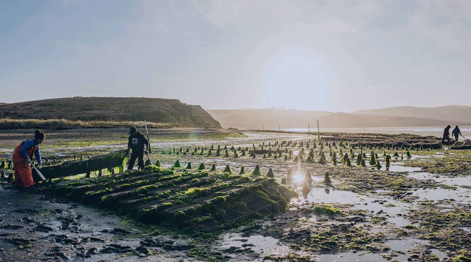 Stewardship Modern Adventure