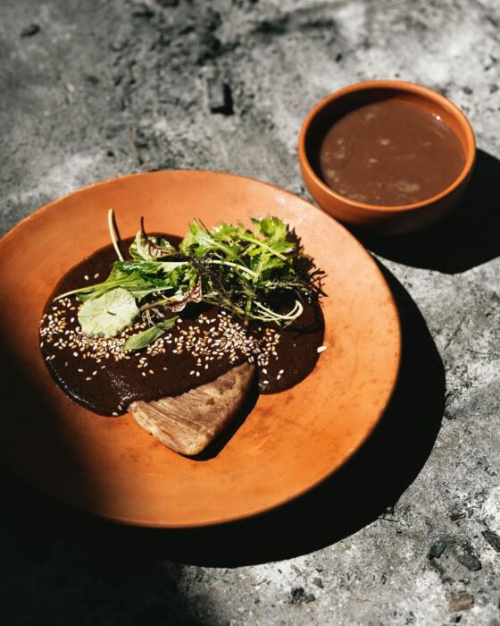 A plate of authentic Oaxacan mole negro topped with sesame seeds and fresh greens, served on a rustic clay plate in a traditional kitchen setting in Mexico.