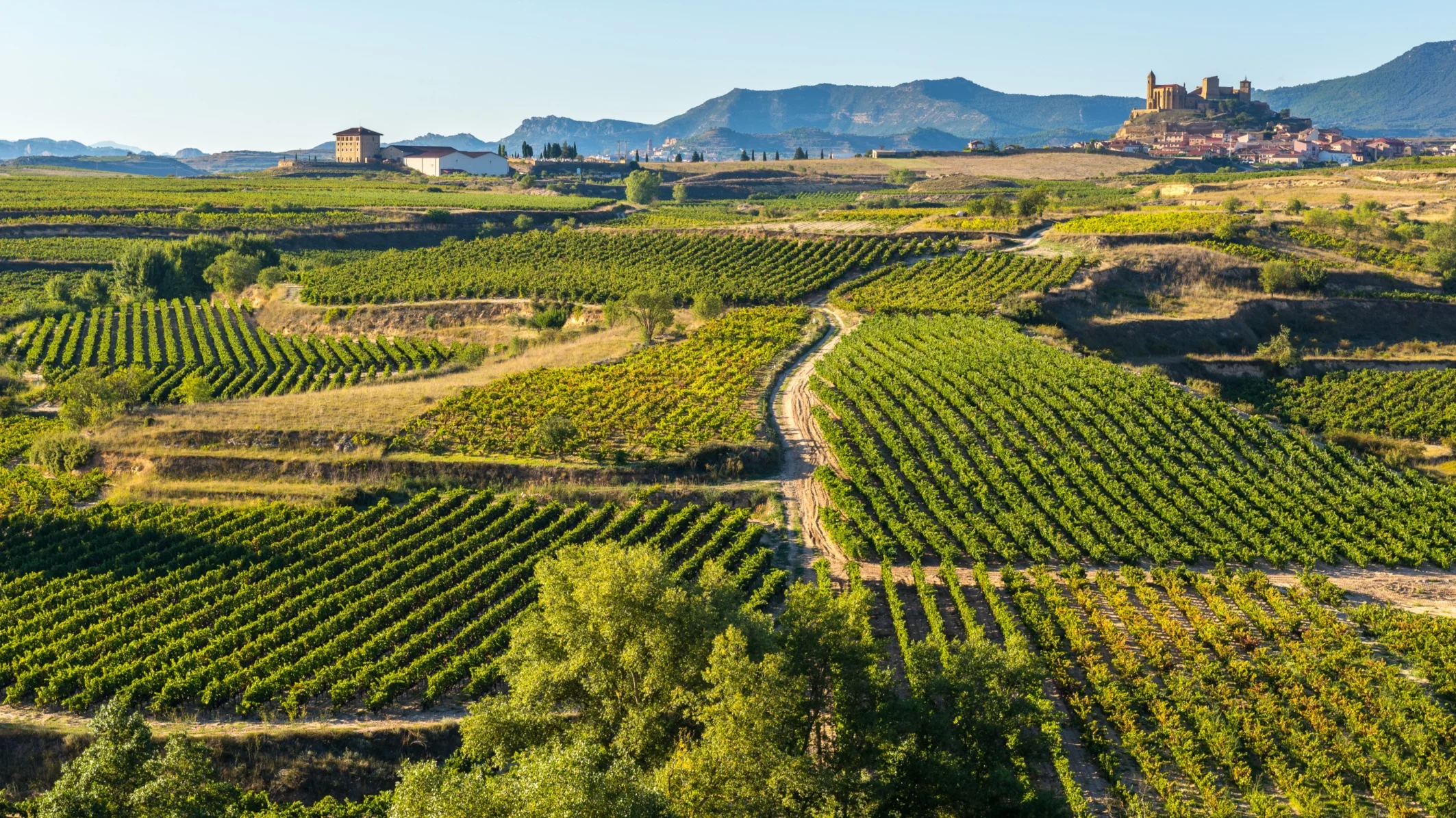 Northern Spain with Château Montelena