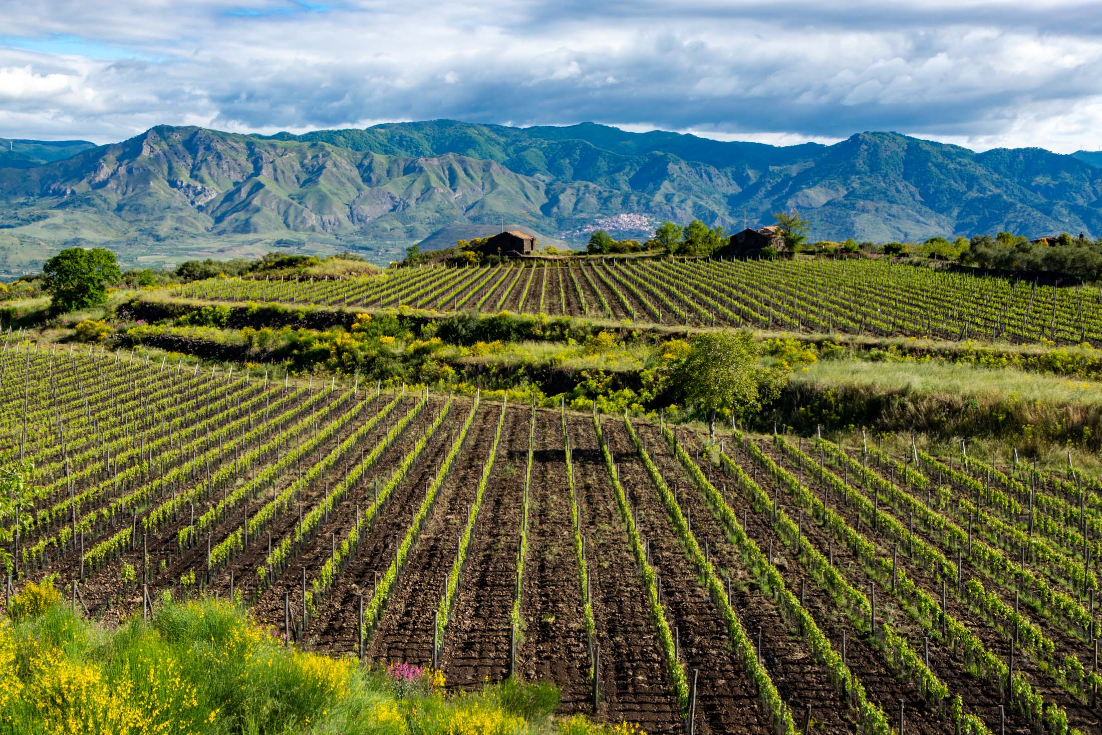 Sicily Tour with Melissa Kelly