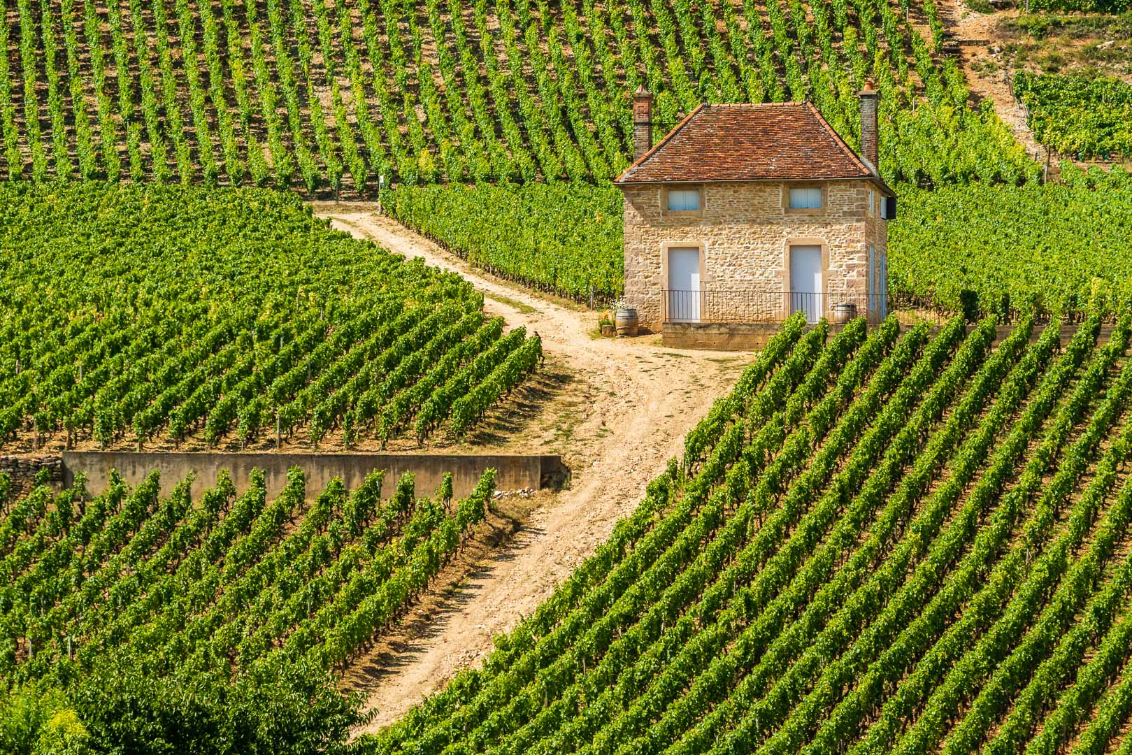 Champagne & Burgundy with Domaine Carneros