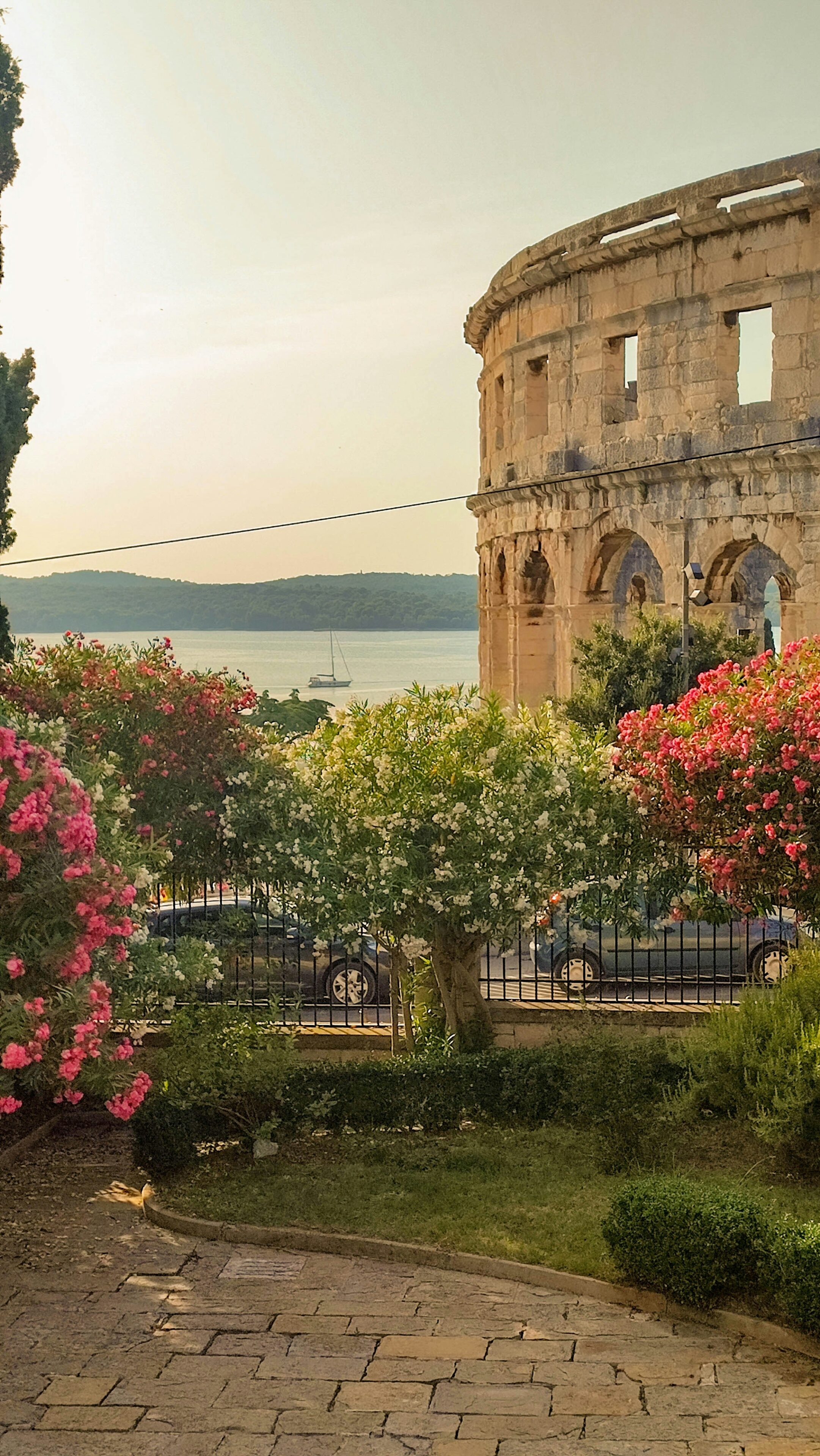 Roman amphitheater in Pula, Croatia, overlooking the Adriatic Sea, surrounded by flowering trees at sunset.