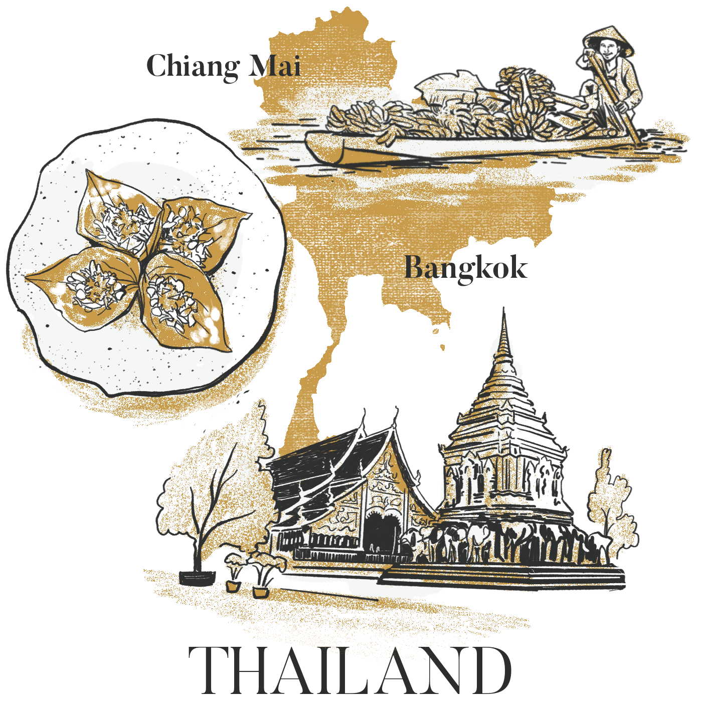 Black, gold, and white illustration of a map of Thailand highlighting Chiang Mai and Bangkok.