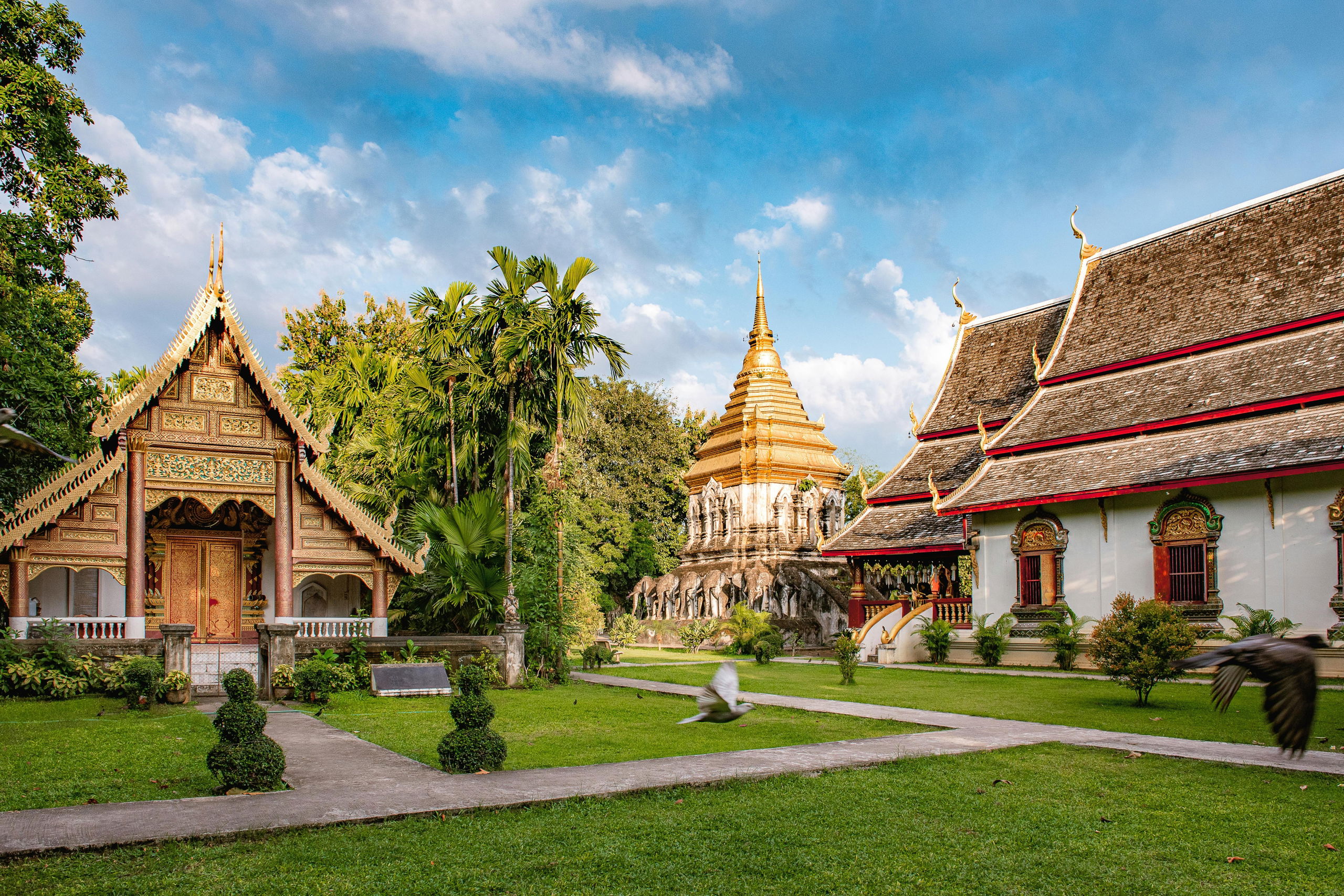 Thailand Culinary Tour with Avishar Barua