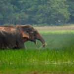 Thailand with Angel Barreto
