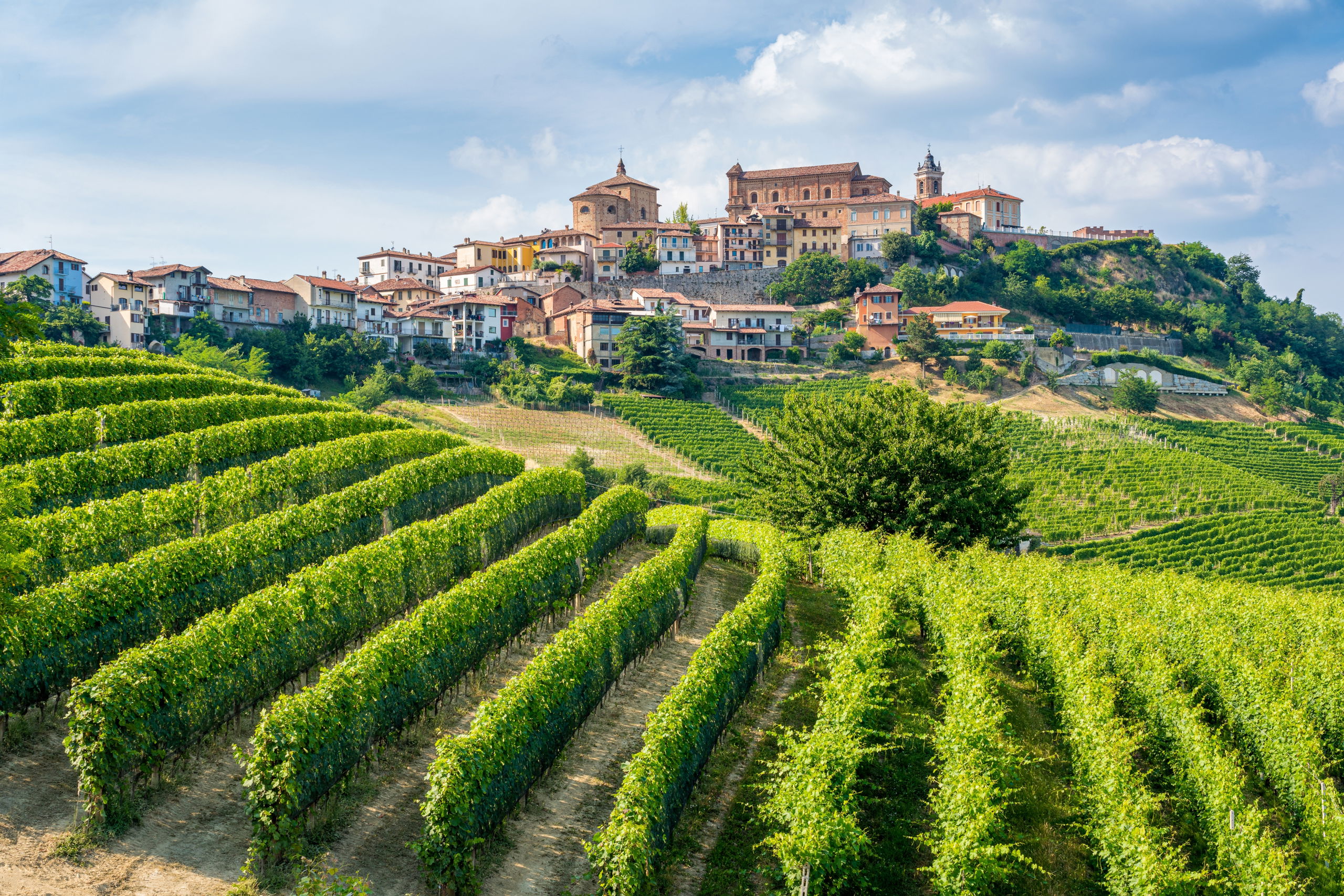 Piedmont Tour with Michael Toscano