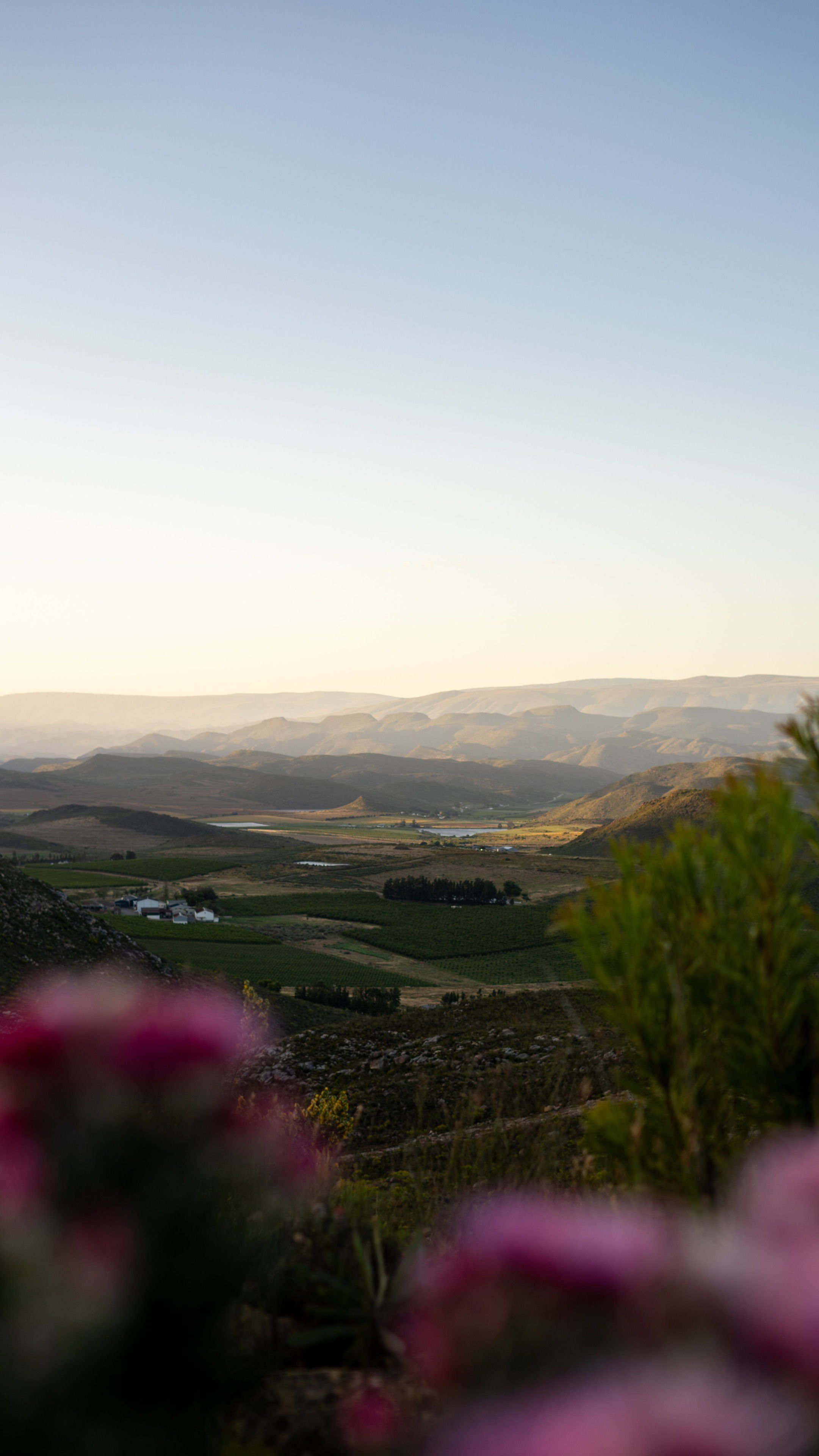 South Africa with Chateau Montelena