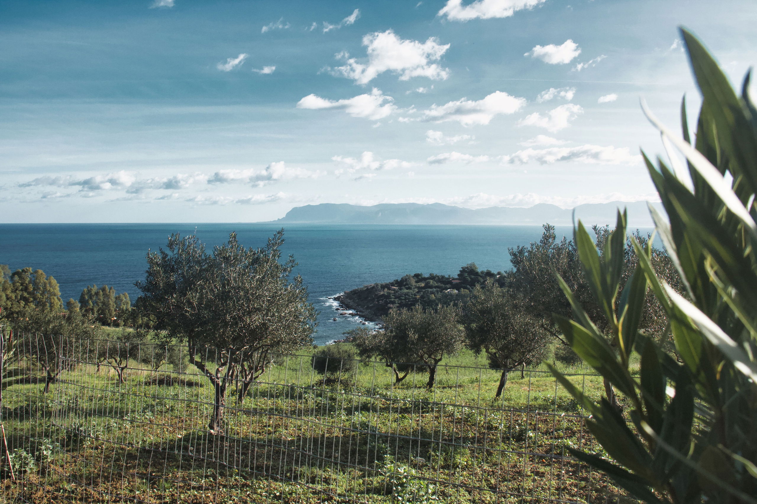 Mount Etna & Ragusa with Sarah Looper
